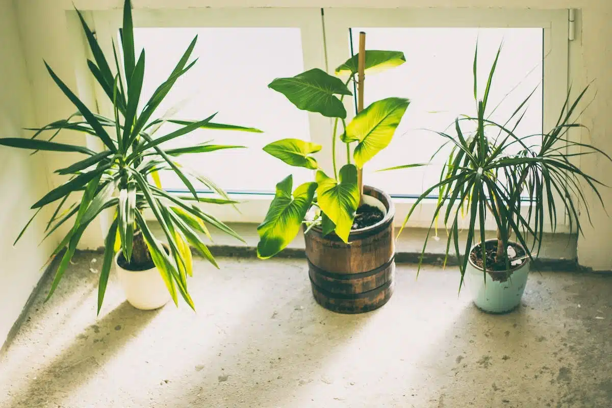 sol intérieur