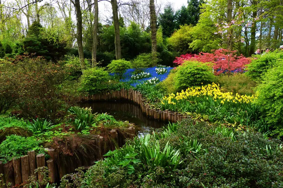 Comment créer une oasis de verdure dans votre jardin